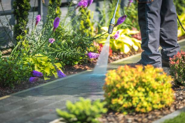 Professional Pressure Washing in Bealeton, VA